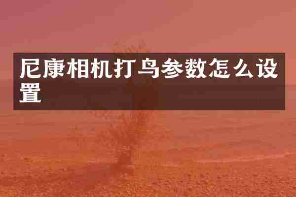 尼康相机打鸟参数怎么设置