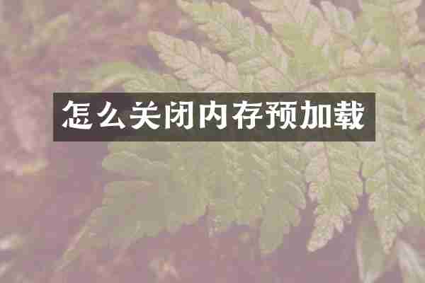 怎么关闭内存预加载