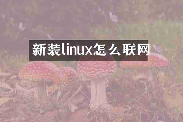 新装linux怎么联网