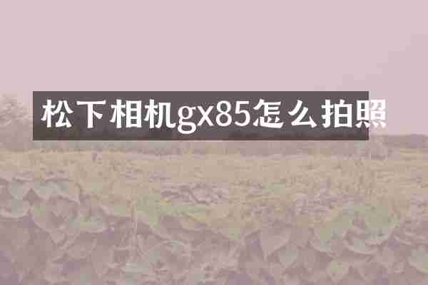 相机gx85怎么拍照