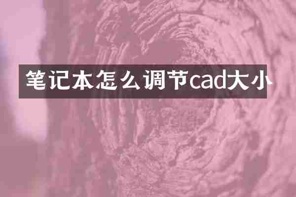 笔记本怎么调节cad大小