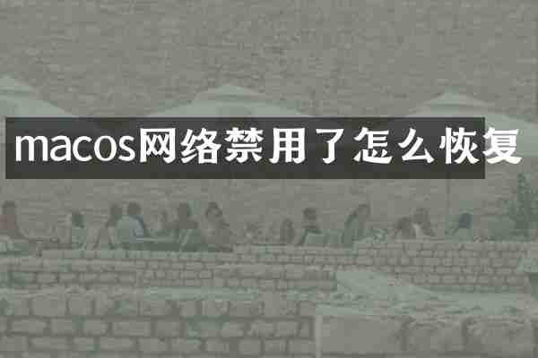 macos网络禁用了怎么恢复