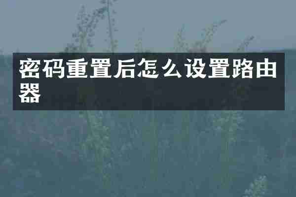 密码重置后怎么设置路由器