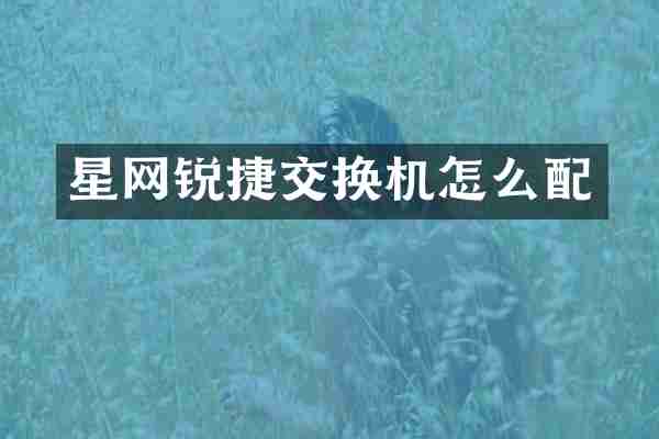 星网锐捷交换机怎么配