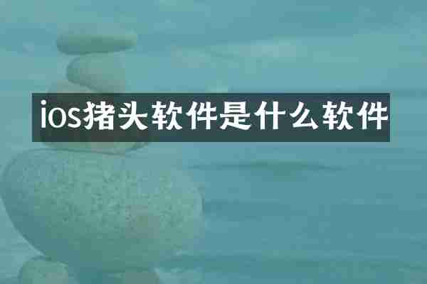 ios猪头软件是什么软件