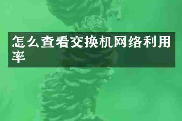 怎么查看交换机网络利用率