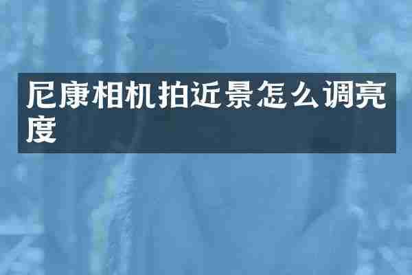 尼康相机拍近景怎么调亮度