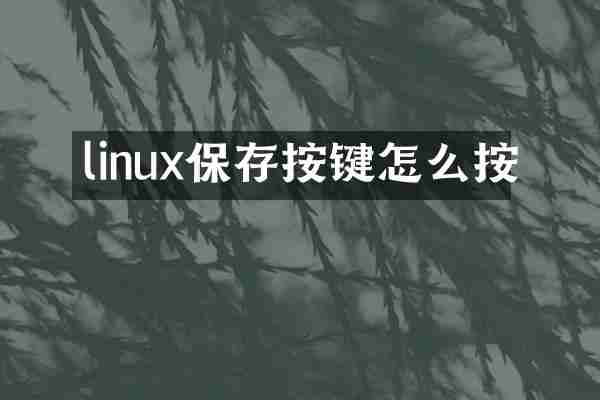 linux保存按键怎么按