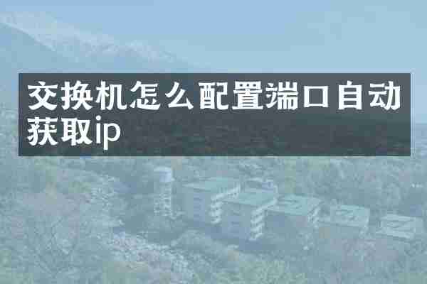 交换机怎么配置端口自动获取ip