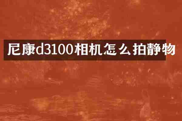 尼康d3100相机怎么拍静物