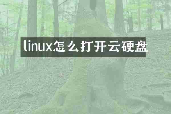 linux怎么打开云硬盘