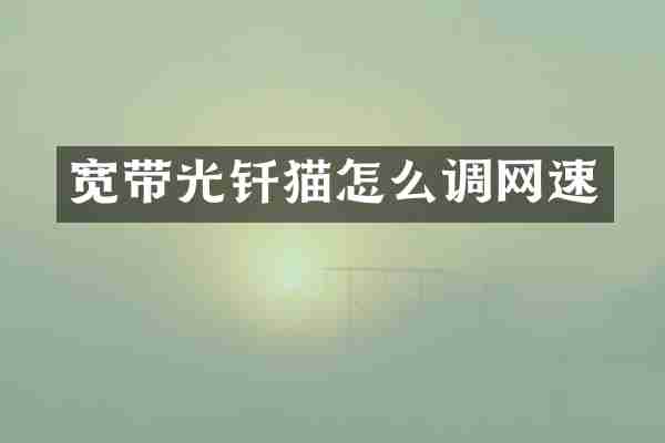 宽带光钎猫怎么调网速