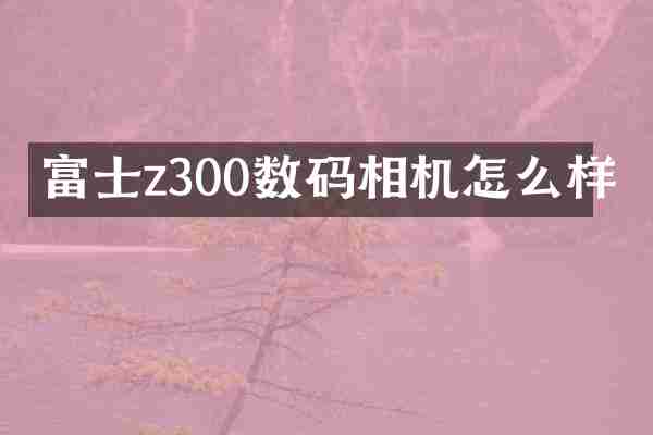 富士z300数码相机怎么样