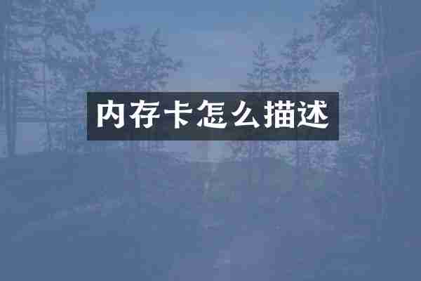 内存卡怎么描述