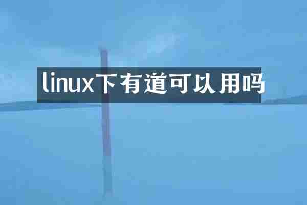 linux下有道可以用吗