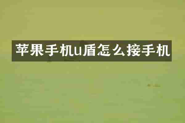苹果手机u盾怎么接手机