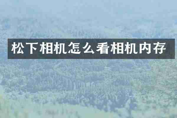 相机怎么看相机内存