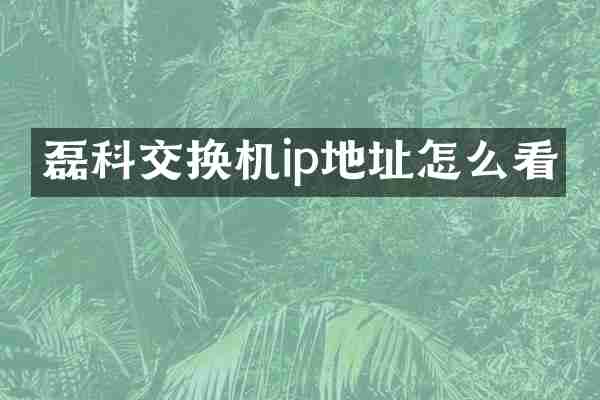 磊科交换机ip地址怎么看