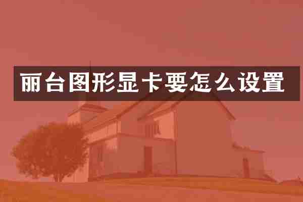 丽台图形显卡要怎么设置