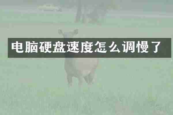 电脑硬盘速度怎么调慢了