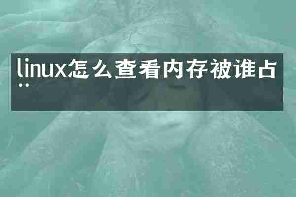 linux怎么查看内存被谁占用