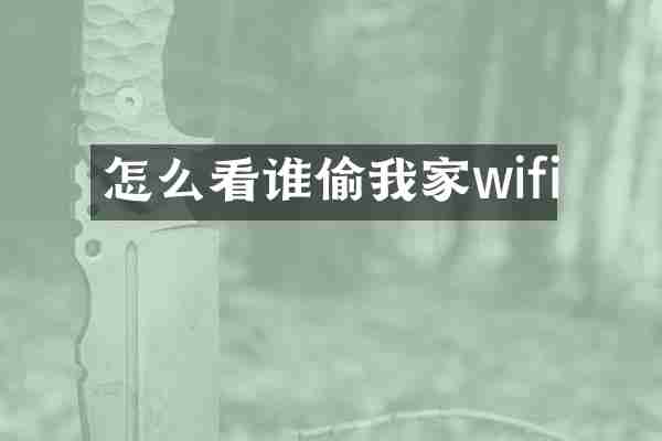 怎么看谁偷我家wifi