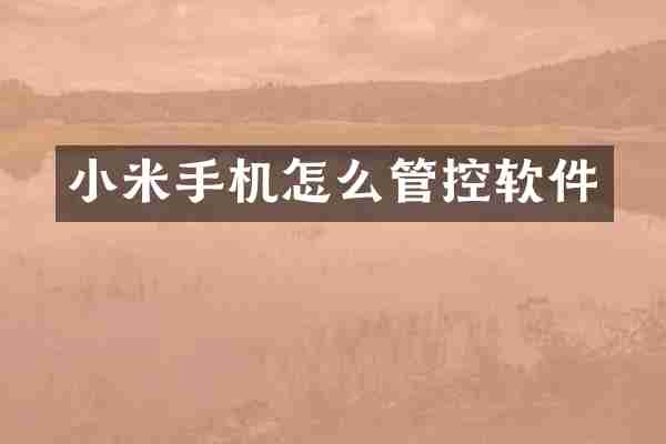 小米手机怎么管控软件