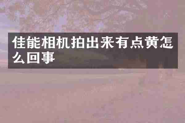 佳能相机拍出来有点黄怎么回事