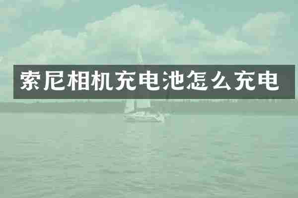 索尼相机充电池怎么充电