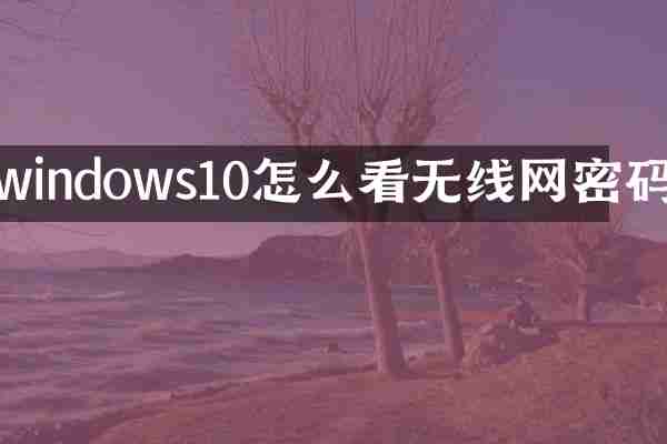 windows10怎么看无线网密码