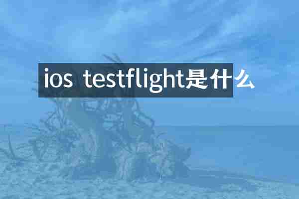 ios testflight是什么