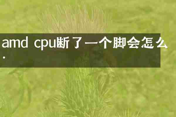 amd cpu断了一个脚会怎么样