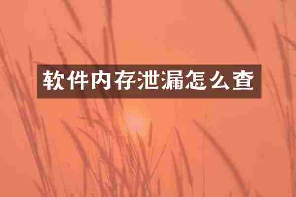 软件内存泄漏怎么查