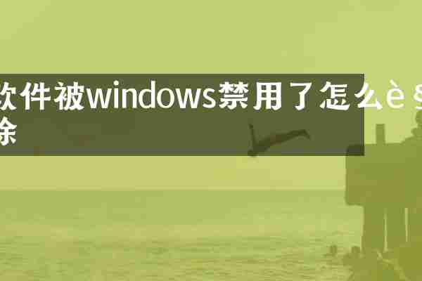软件被windows禁用了怎么解除
