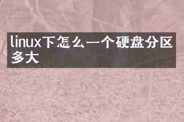 linux下怎么一个硬盘分区是多大