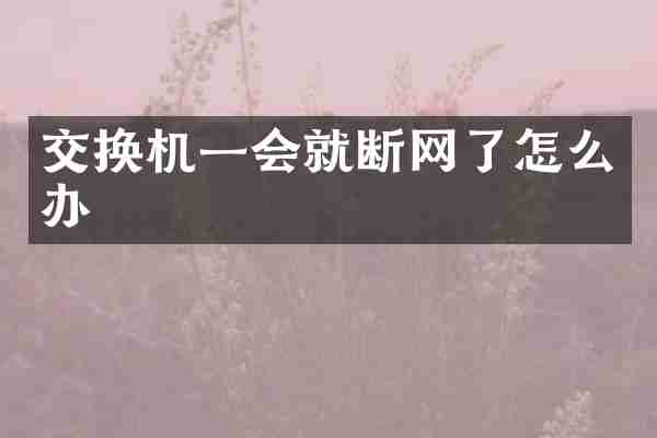 交换机一会就断网了怎么办