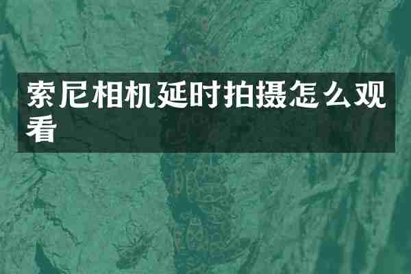相机延时拍摄怎么观看