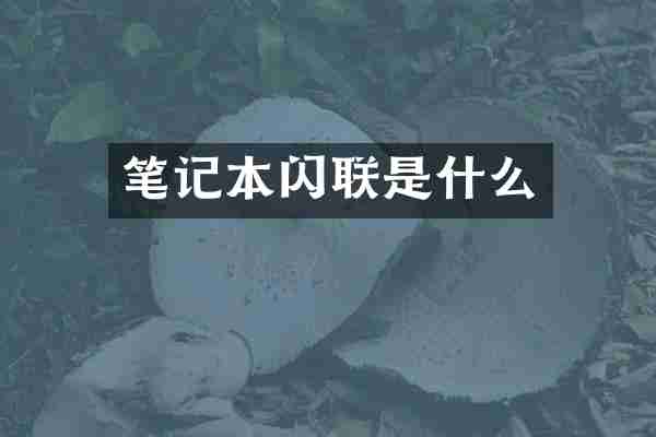 笔记本闪联是什么
