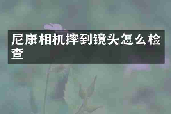 尼康相机摔到镜头怎么检查