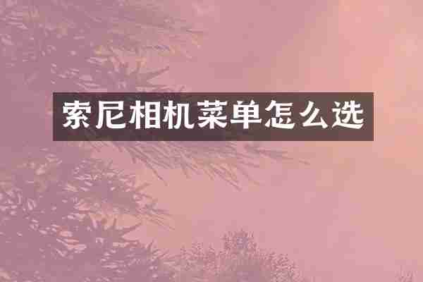 相机菜单怎么选