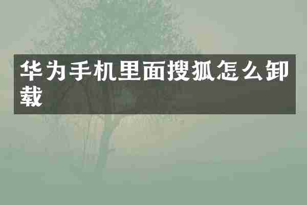华为手机里面搜狐怎么卸载