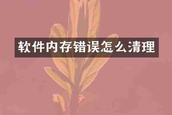 软件内存错误怎么清理