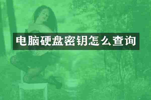 电脑硬盘密钥怎么查询
