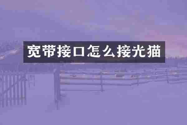 宽带接口怎么接光猫