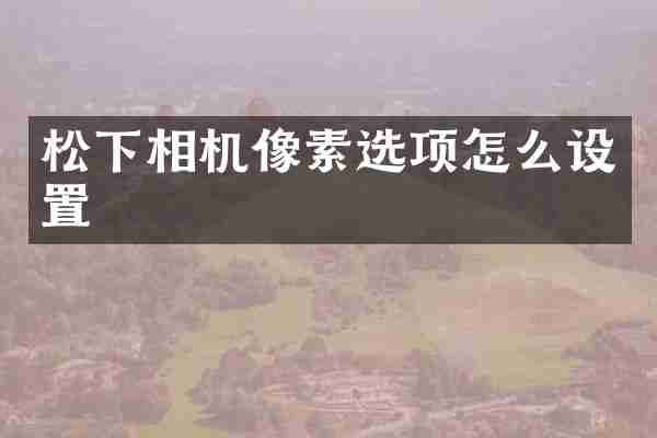 相机像素选项怎么设置