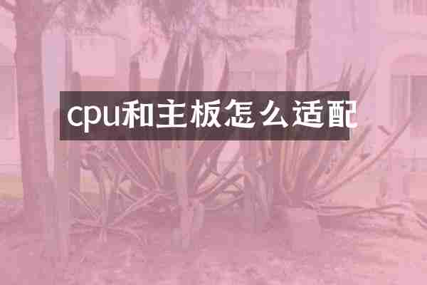 cpu和主板怎么适配