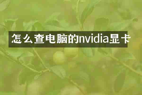 怎么查电脑的nvidia显卡