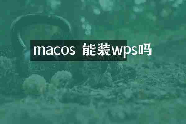 macos 能装wps吗