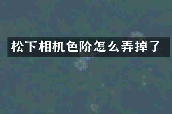 相机色阶怎么弄掉了