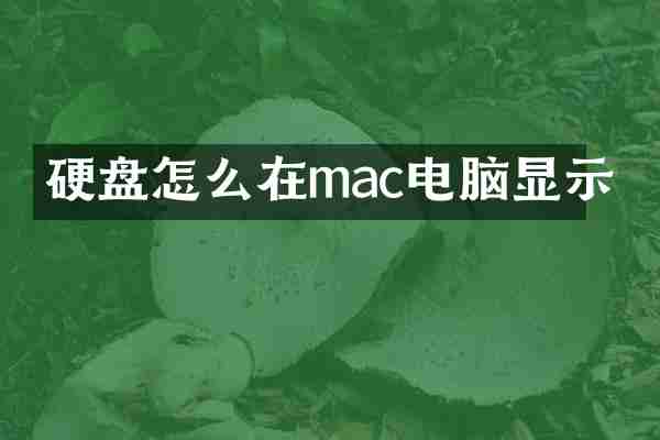 硬盘怎么在mac电脑显示